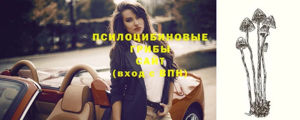 мяу мяу мука Бородино