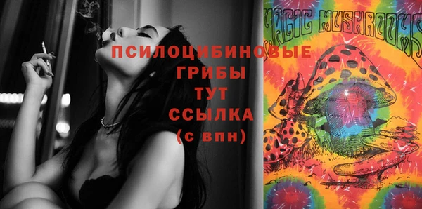 мяу мяу мука Бородино
