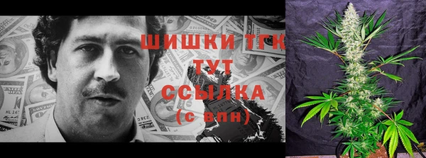 мяу мяу мука Бородино