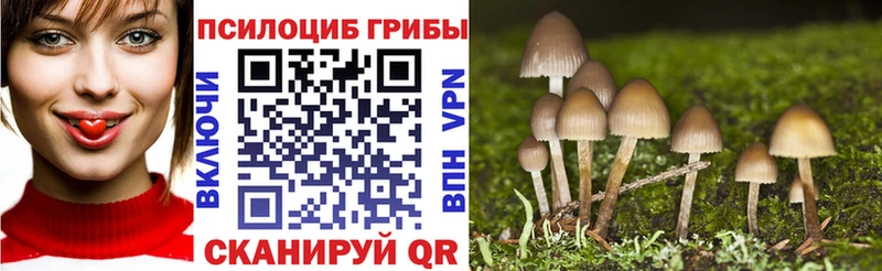 Псилоцибиновые грибы мухоморы  закладки  Воскресенск 